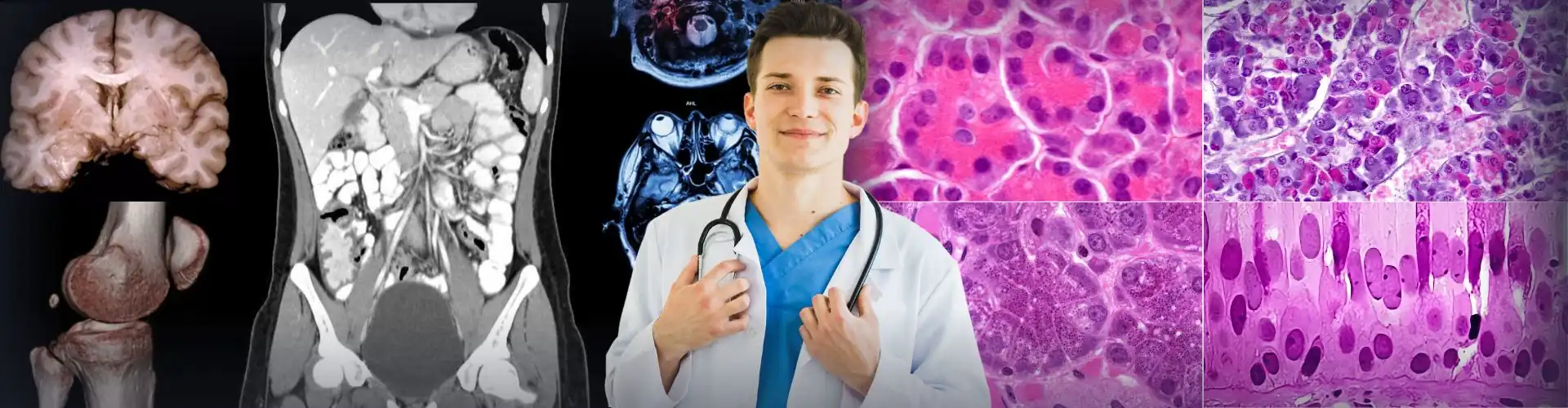 Curso Paralelo de Medicina UBA - IMED Leloir